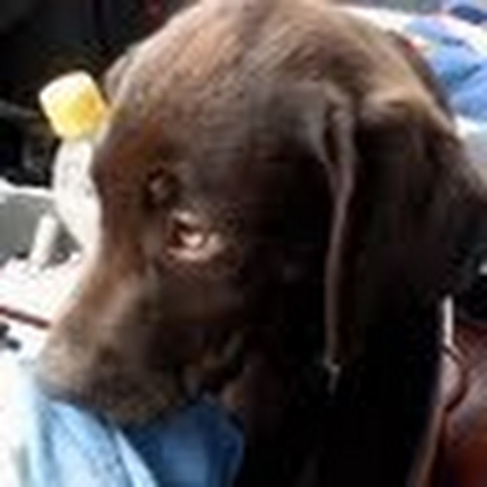 Meet your Posher, Cristine